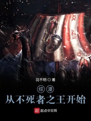 壁挂式采暖炉