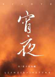 国产无矿砖专砖区