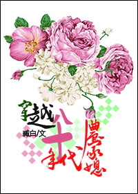 小白兔与大灰狼