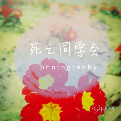 www色网站