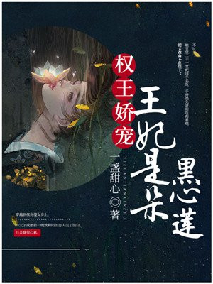 鹿鼎记后传