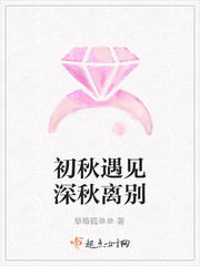 照见星星的她txt