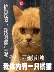 青青青手机频在线观看2024
