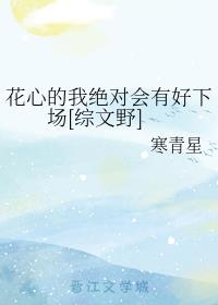 秘密访客免费观看完整版