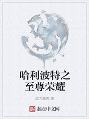 我的小姨子电影