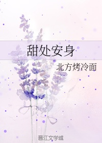 图片视频小说
