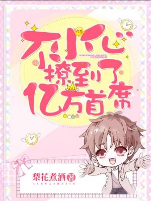完美动漫