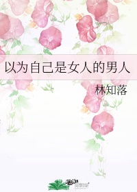 妖精当道故什