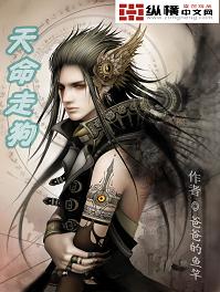 人与动物另类