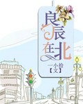梅麻吕3d动画检查