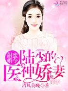 7龙珠