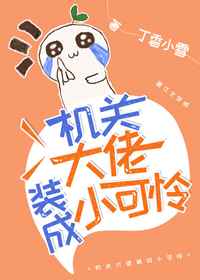 类似一女二三事的小说