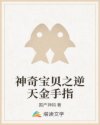 风云小说原著