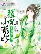 墨燃和踏仙君同时干楚晚宁猫弄