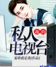 白夜追凶小说