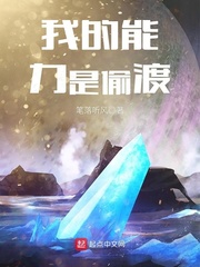 飞速小说网八路中文网