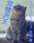 折桂令