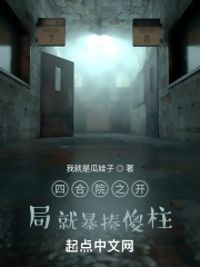 坚果加速器