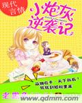 无需安装任何播放器