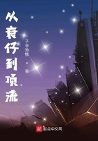 重生岳飞之召唤系统