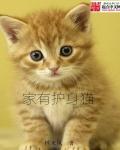 枪神电视剧全集免费观看