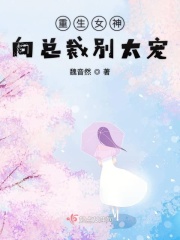 皮城执法官视频