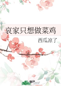 奇书网txt电子书免费下载完本