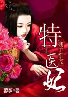 乐事小说