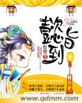 奇瑞金融