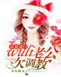 非暴力不合作小说在线阅读