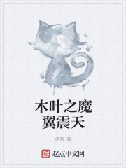 前任攻略演员表