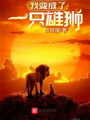 喜爱夜