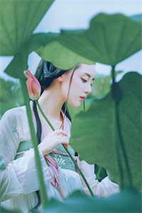 最弱无败神装机龙小说