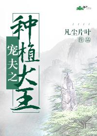神医官道