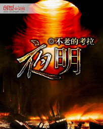 高圆圆演的电视剧