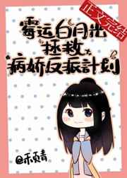 久就热视频精品免费6