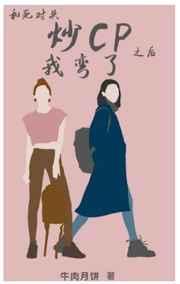特务搜查官风子在线观看