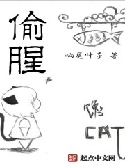 半截白菜最新小说