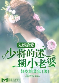 皓衣行小说