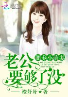 恭王府丫鬟日常小说