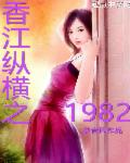 六十年代巧媳妇