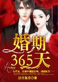 缚美记小说无删减txt