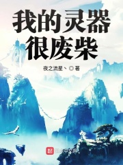 黑道冷枭的赔心交易