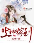 流星花园下载