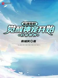 美女全黄网站免费观看