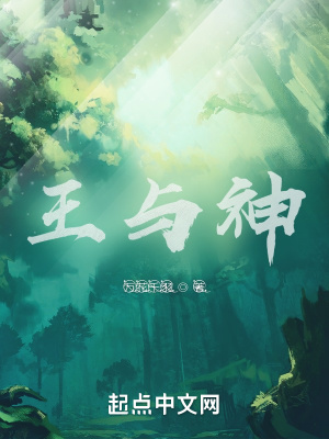 瓷质砖