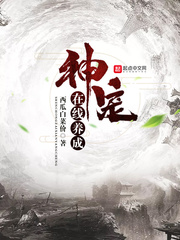 不再让你孤单小说