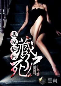 没有工作的一年一共多少集