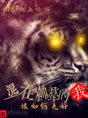 天美传媒 高清