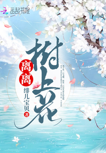 南拳北腿斗金狐